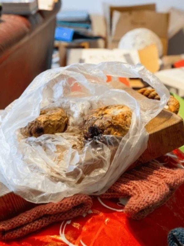 Messie Wohnung entrümpeln in leonberg